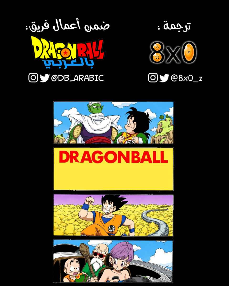 Dragon Ball (Official Colored) Chapter 206 - Page 15