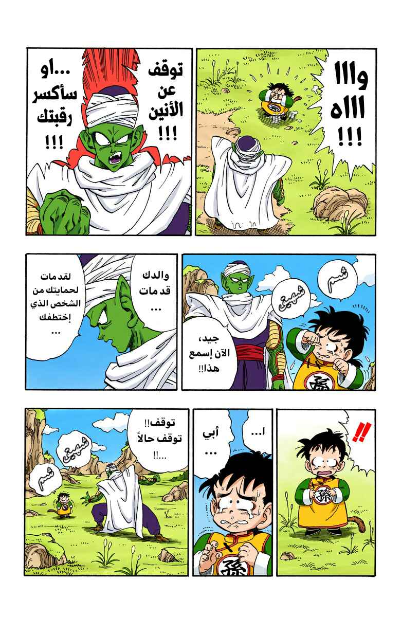 Dragon Ball (Official Colored) Chapter 206 - Page 4