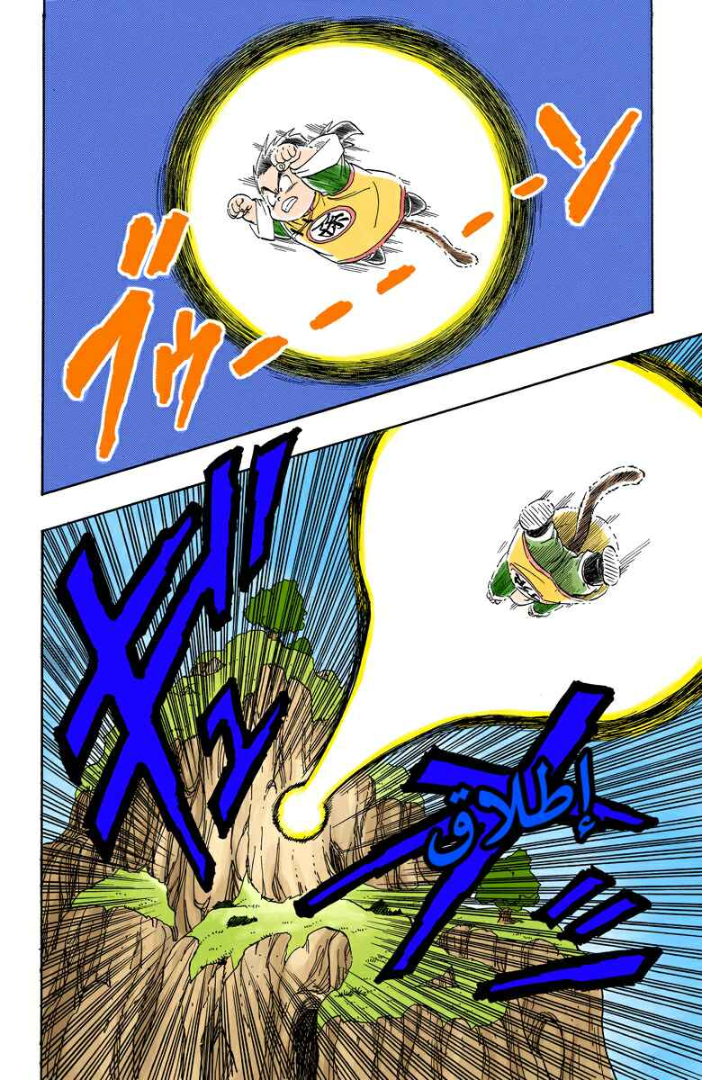 Dragon Ball (Official Colored) Chapter 206 - Page 9
