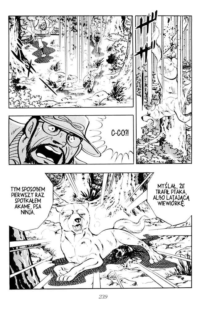 Silver Fang – The Shooting Star Gin – Chapter 19 - Page 18