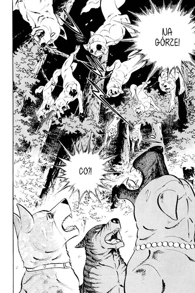 Silver Fang – The Shooting Star Gin – Chapter 19 - Page 25
