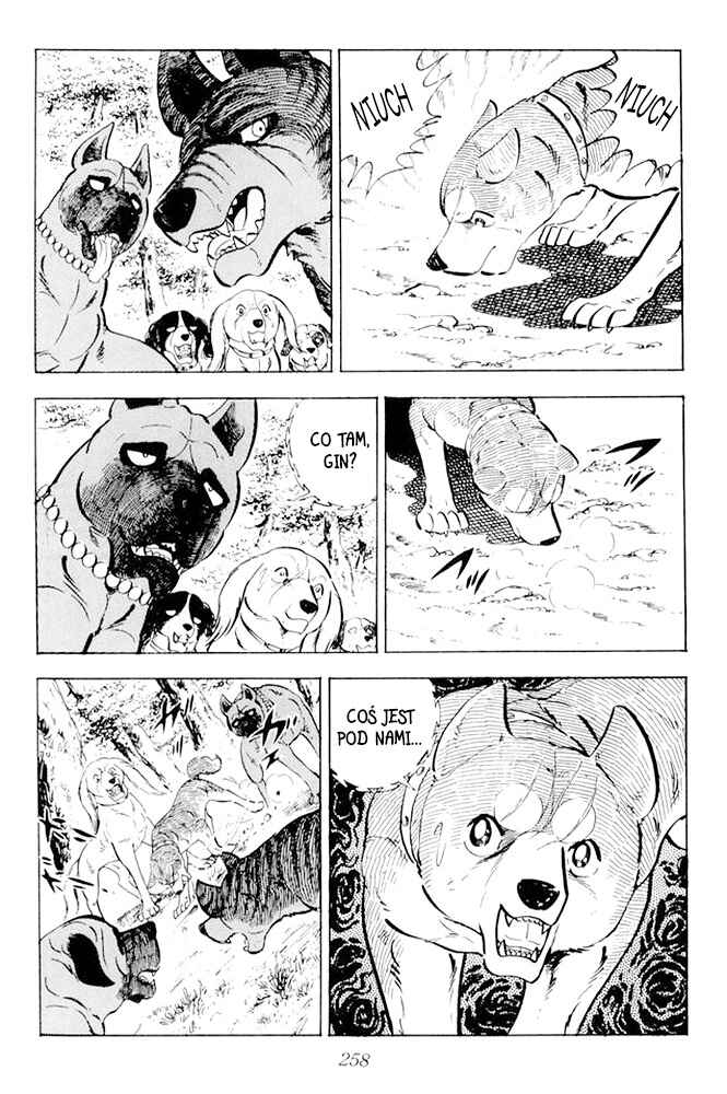 Silver Fang – The Shooting Star Gin – Chapter 19 - Page 36