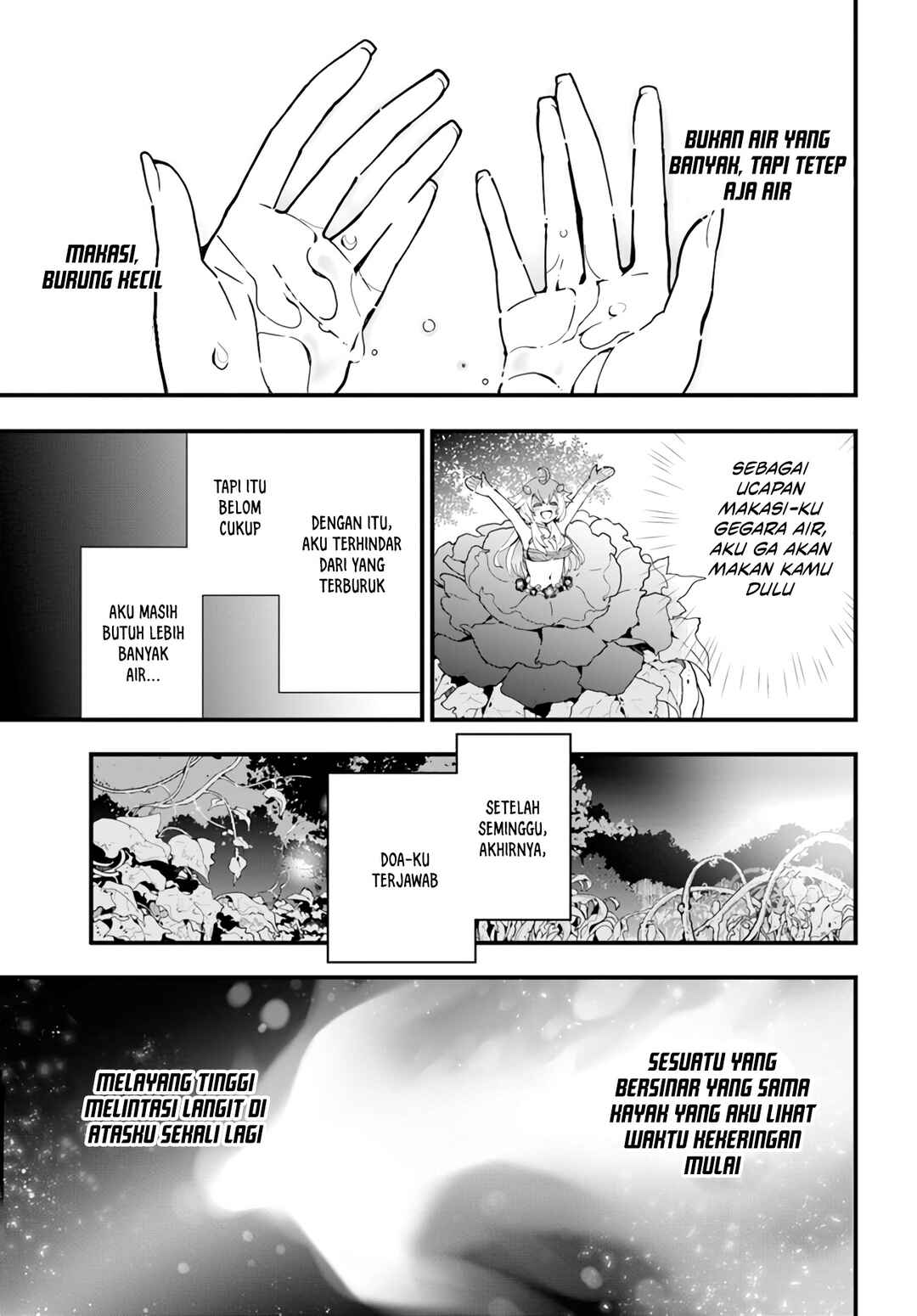 Shokubutsu Monster Musume Nikki: Seijo datta Watashi ga Uragirareta Hate ni Alraune ni Tensei Shite Shimatta node, kore kara wa Kougousei o Shinagara Shizuka ni Shokubutsu Life o Sugoshimasu Chapter 3 - Page 18