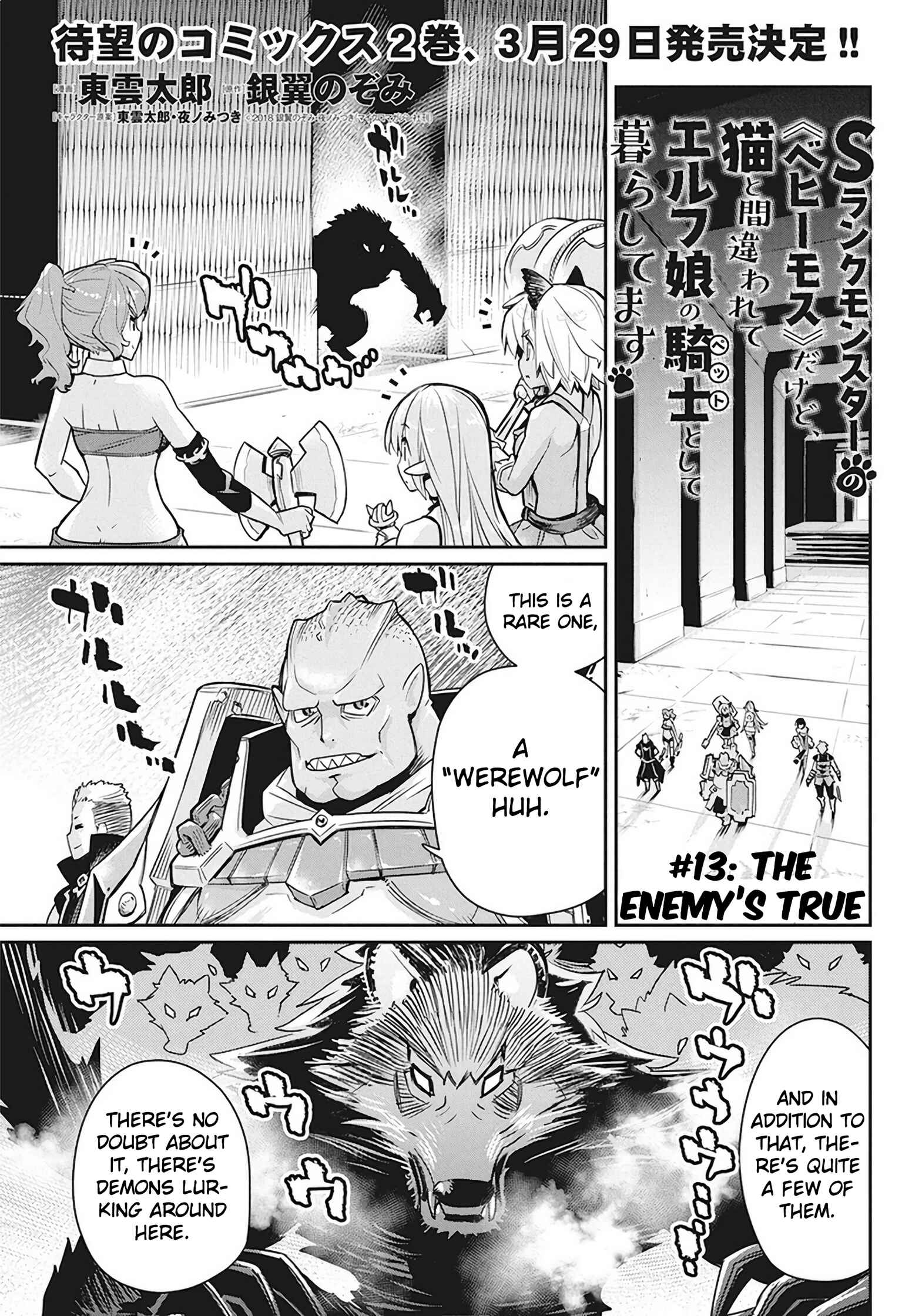 S-Rank Monster no "Behemoth" dakedo, Neko to Machigawarete Elf Musume no Pet to Shite Kurashitemasu Chapter 13 - Page 2