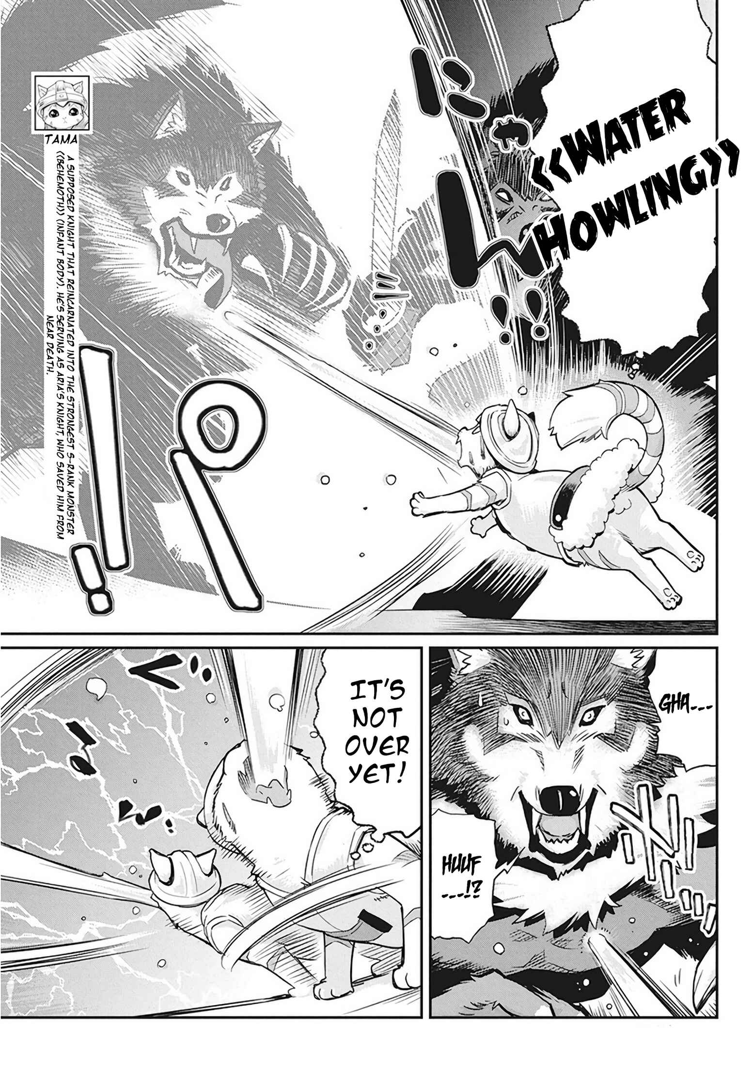 S-Rank Monster no "Behemoth" dakedo, Neko to Machigawarete Elf Musume no Pet to Shite Kurashitemasu Chapter 13 - Page 8