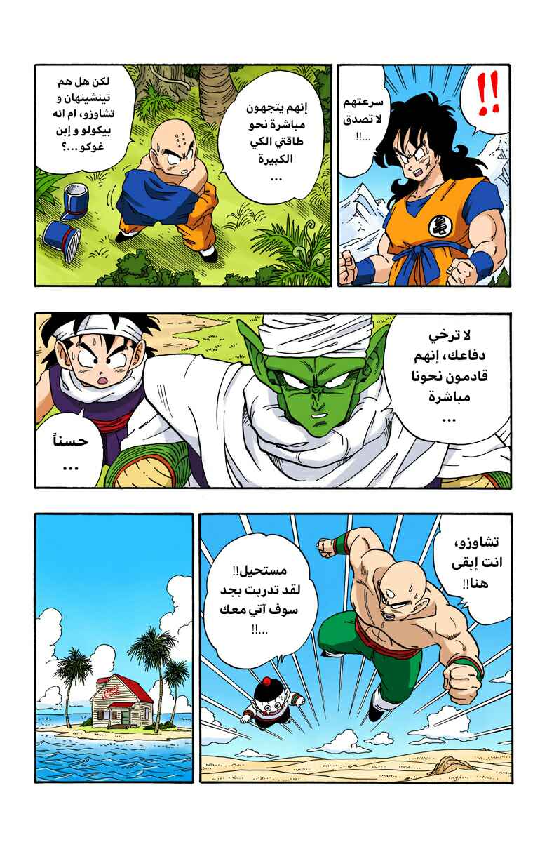 Dragon Ball (Official Colored) Chapter 213 - Page 9