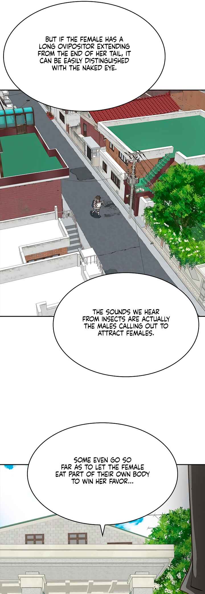 Kkot eun Mikkiya Chapter 15 - Page 12
