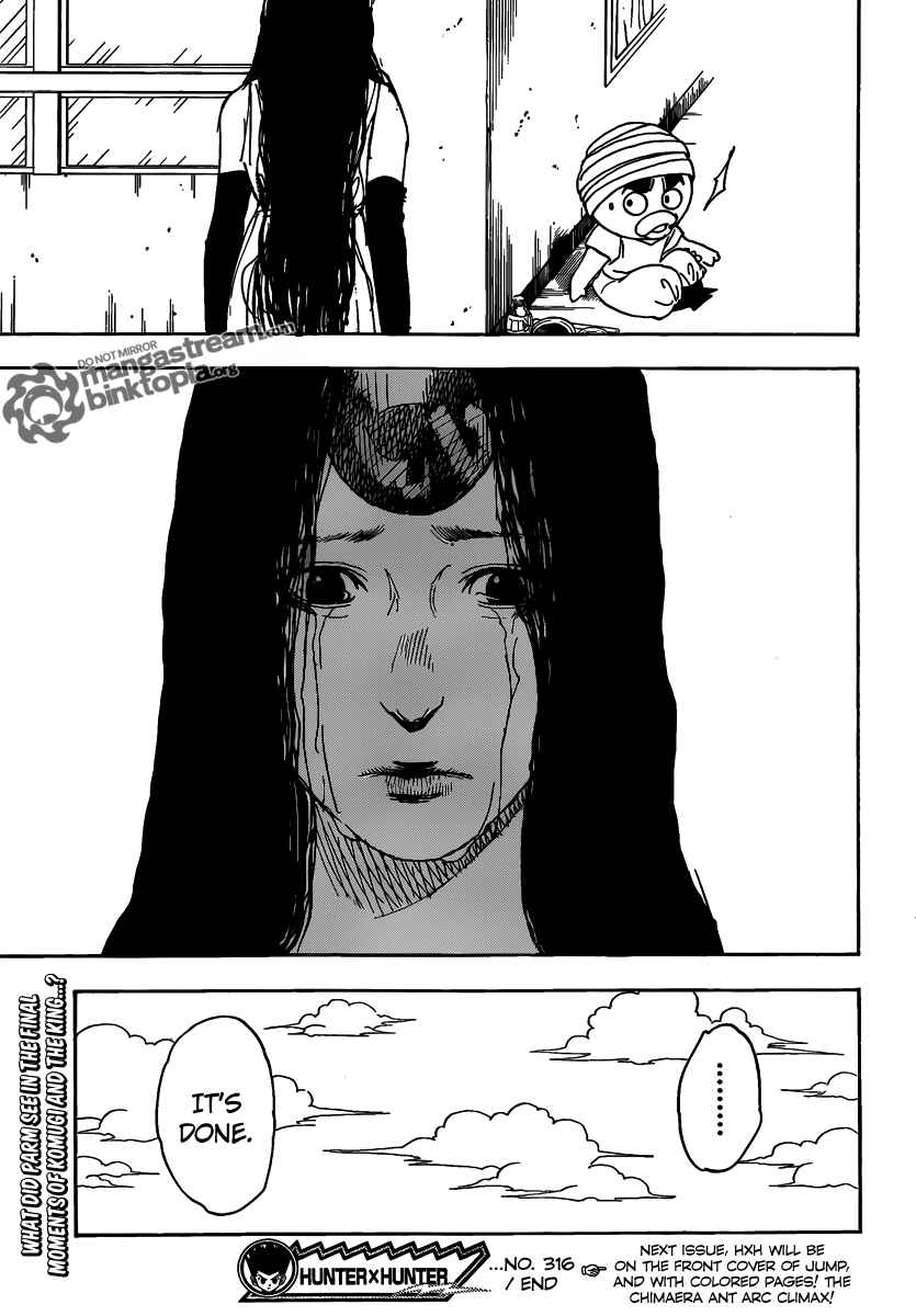 Hunter x Hunter Chapter 316 - Page 19
