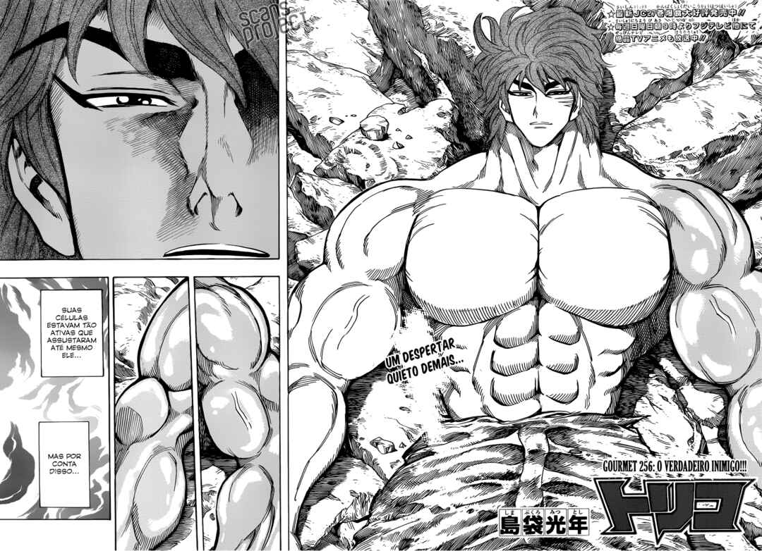 TORIKO Chapter 256 - Page 4