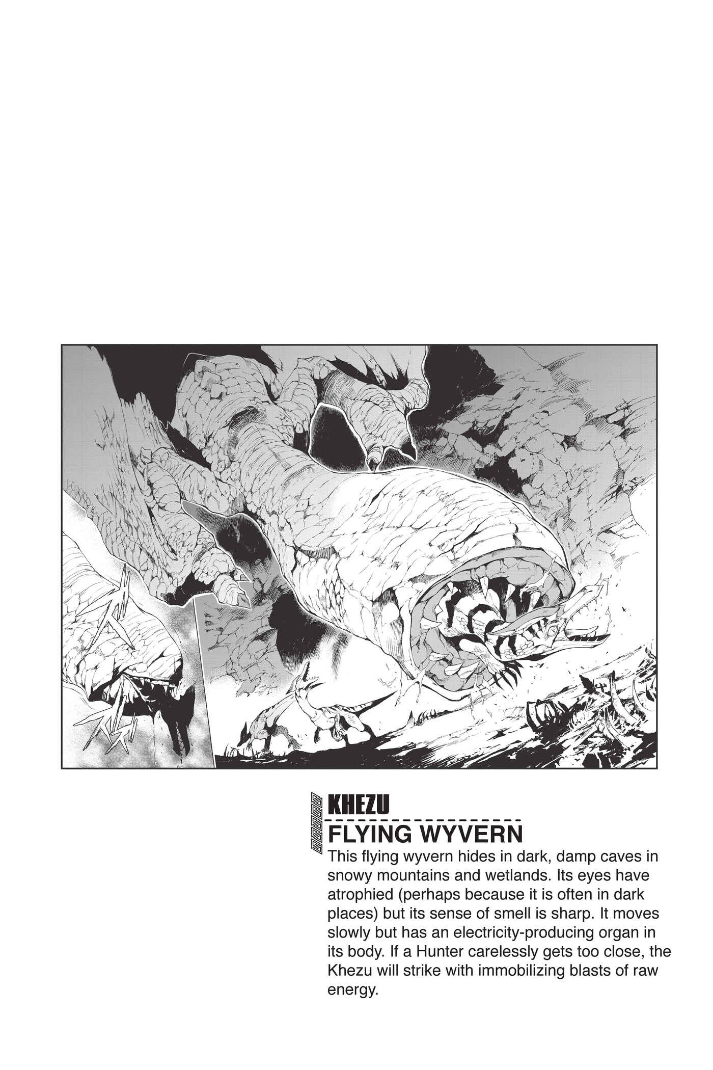 Monster Hunter: Flash Hunter Chapter 22 - Page 24