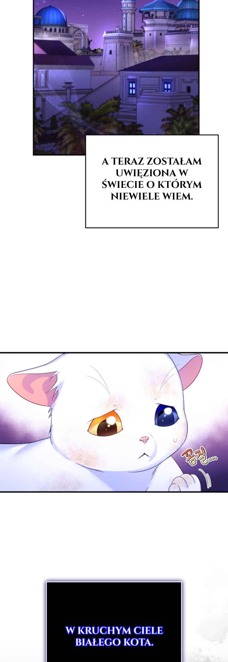 I Became the Sultan's Precious Cat Chapter 2 - Page 20