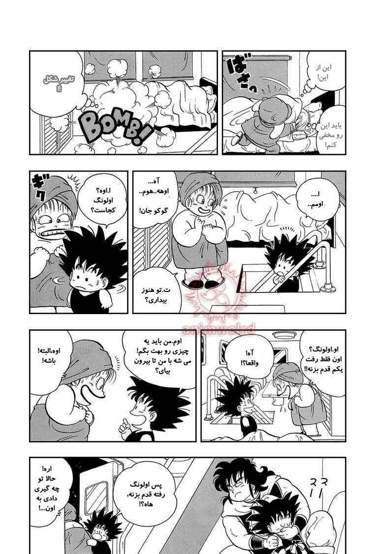 Dragon Ball Chapter 9 - Page 13