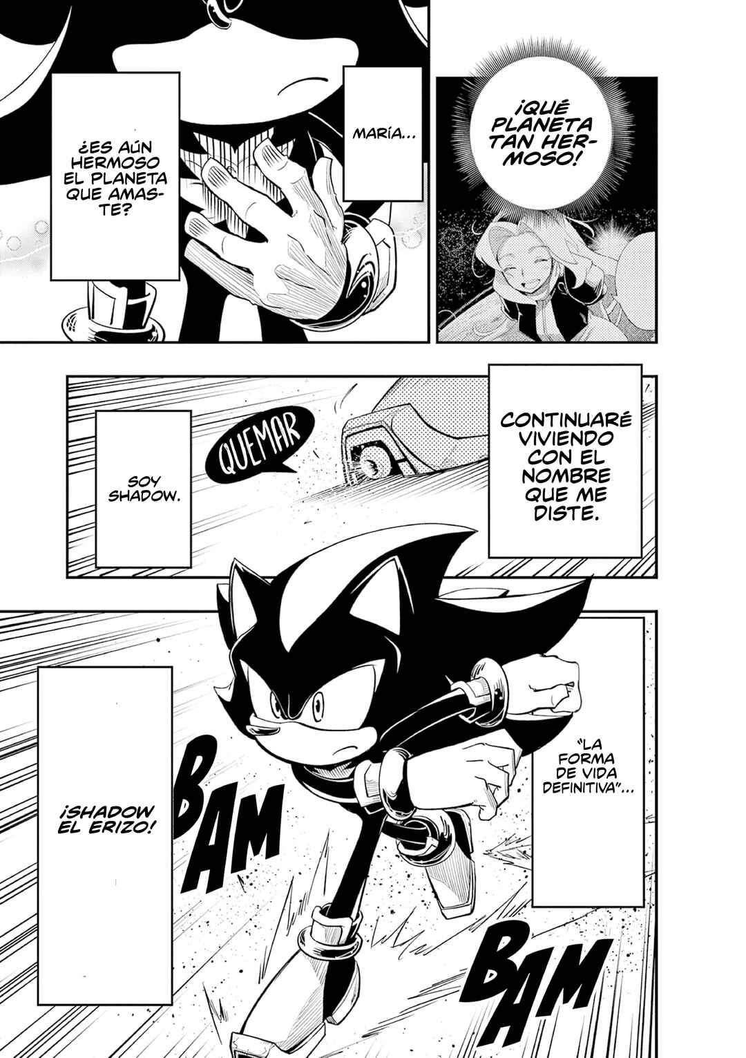 The Jet Black Hedgehog: Shadow the Hedgehog Chapter 6 - Page 29