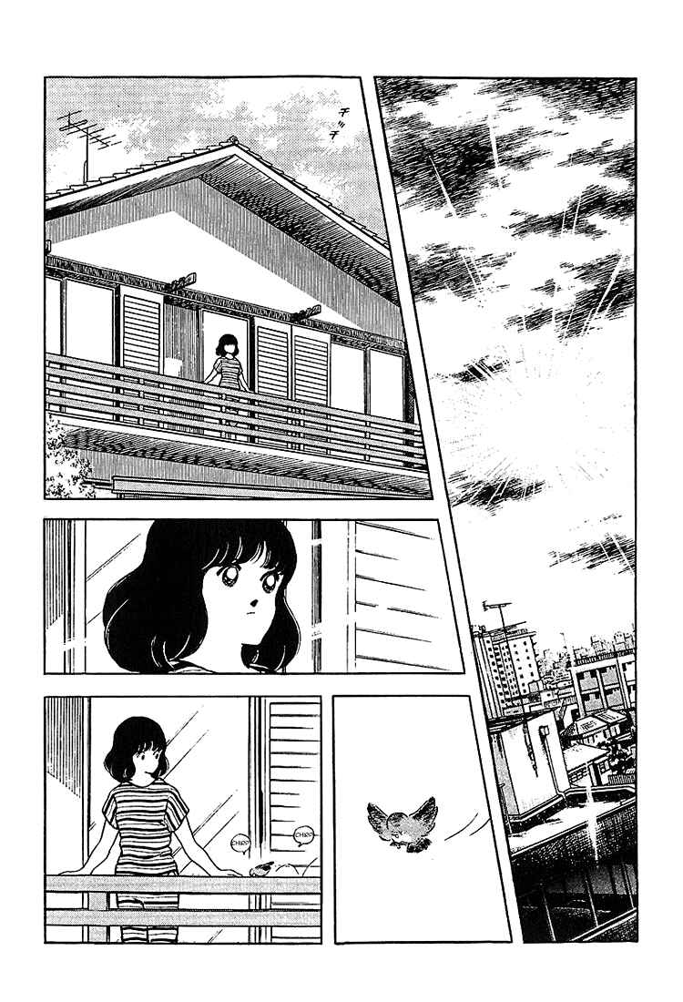 Touch Chapter 211 - Page 14