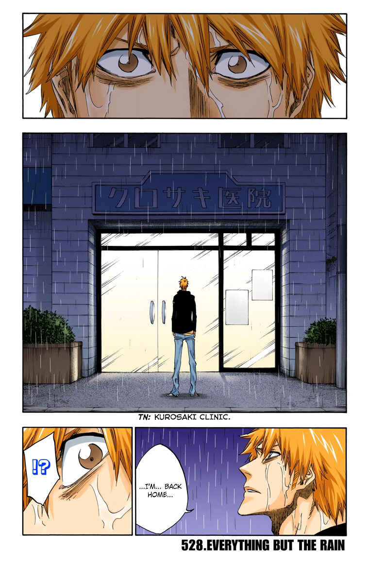 Bleach (Official Colored) Chapter 528 - Page 3