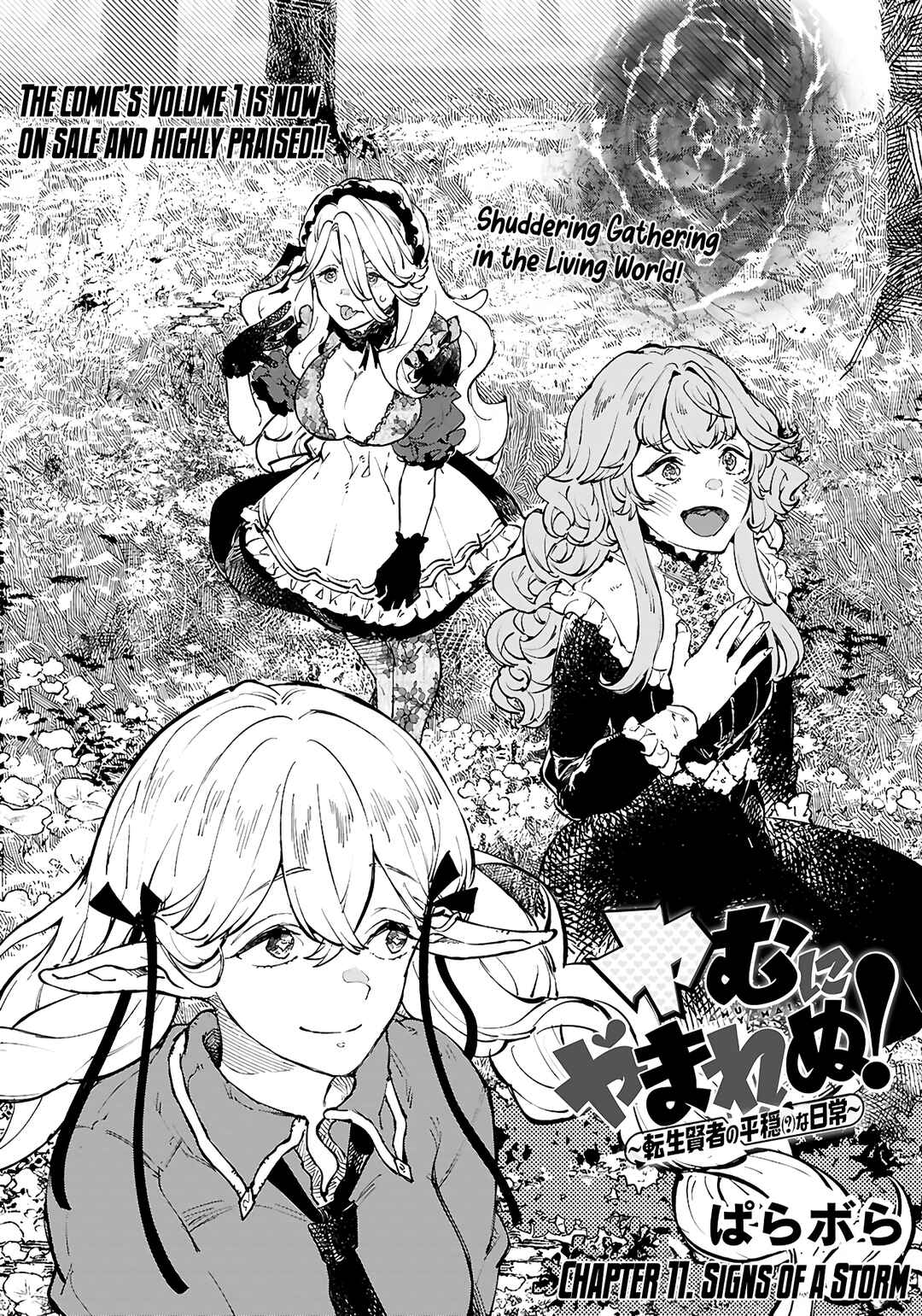 Yamu ni Yamarenu! ~Tensei Kenja no Heion(?) na Nichijou~ Chapter 11 - Page 2