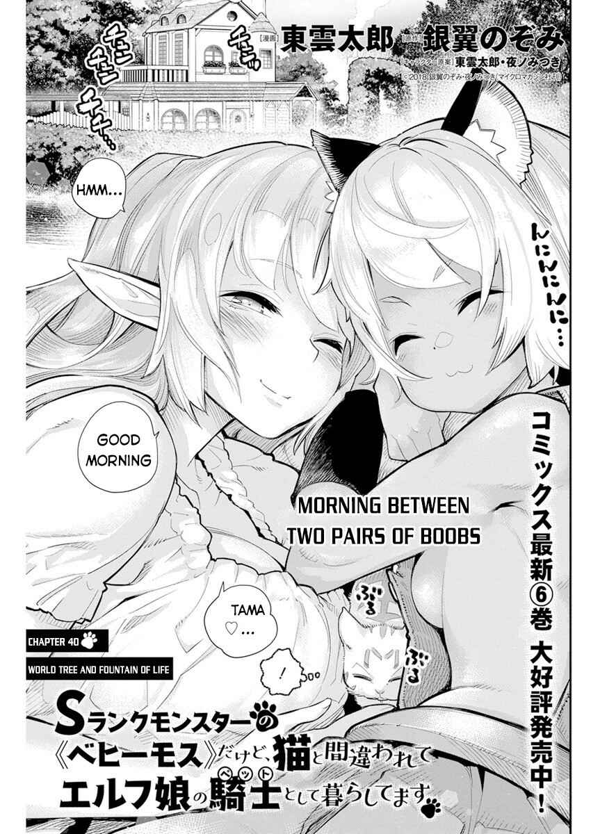 S-Rank Monster no "Behemoth" dakedo, Neko to Machigawarete Elf Musume no Pet to Shite Kurashitemasu Chapter 40 - Page 2
