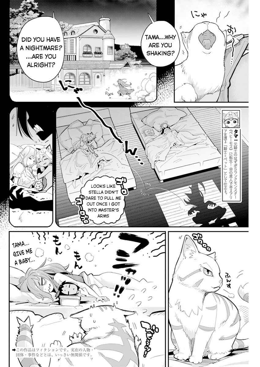 S-Rank Monster no "Behemoth" dakedo, Neko to Machigawarete Elf Musume no Pet to Shite Kurashitemasu Chapter 40 - Page 3
