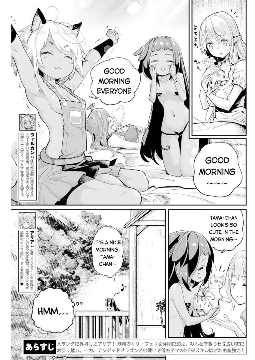 S-Rank Monster no "Behemoth" dakedo, Neko to Machigawarete Elf Musume no Pet to Shite Kurashitemasu Chapter 40 - Page 4