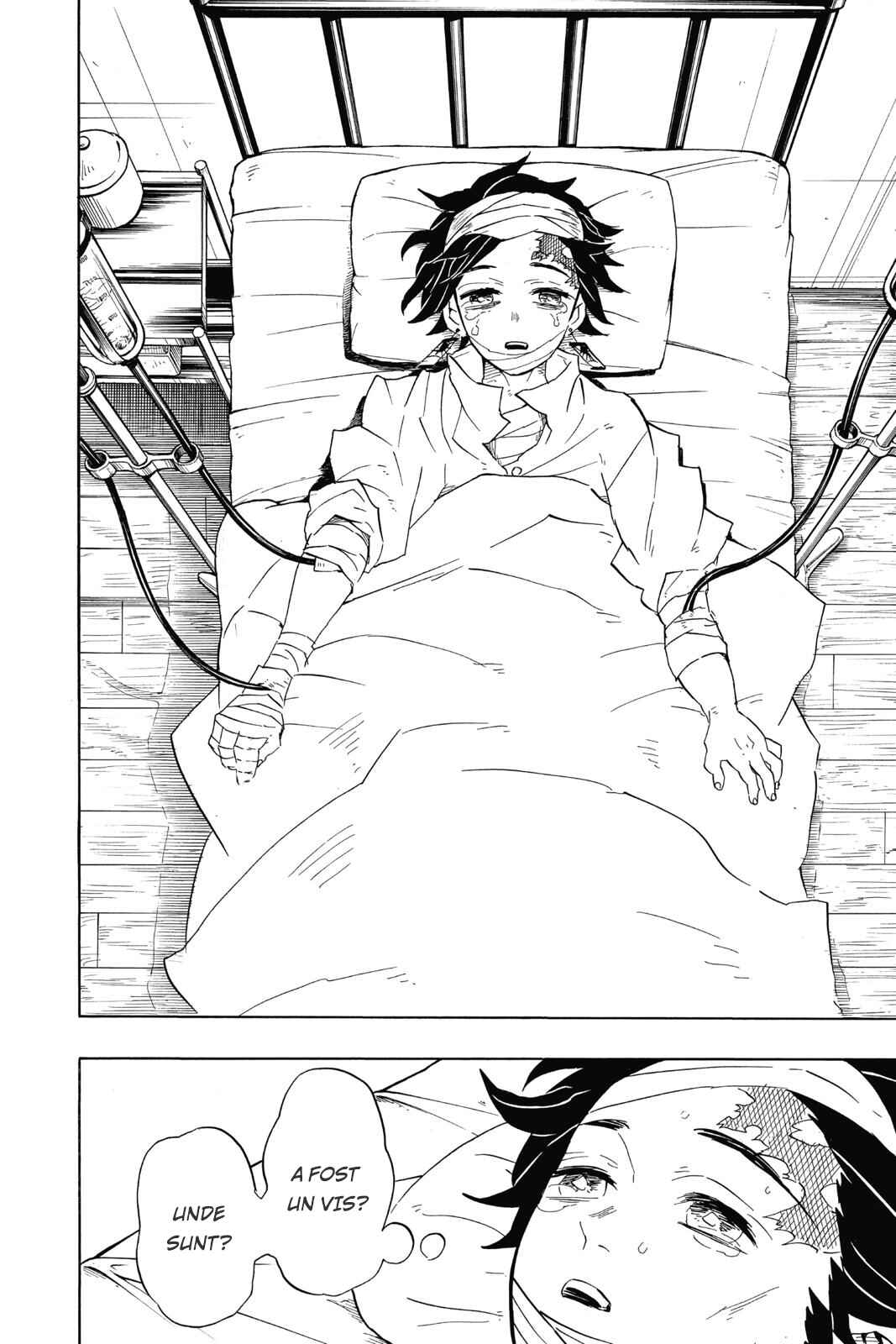 Demon Slayer: Kimetsu no Yaiba Chapter 99 - Page 19