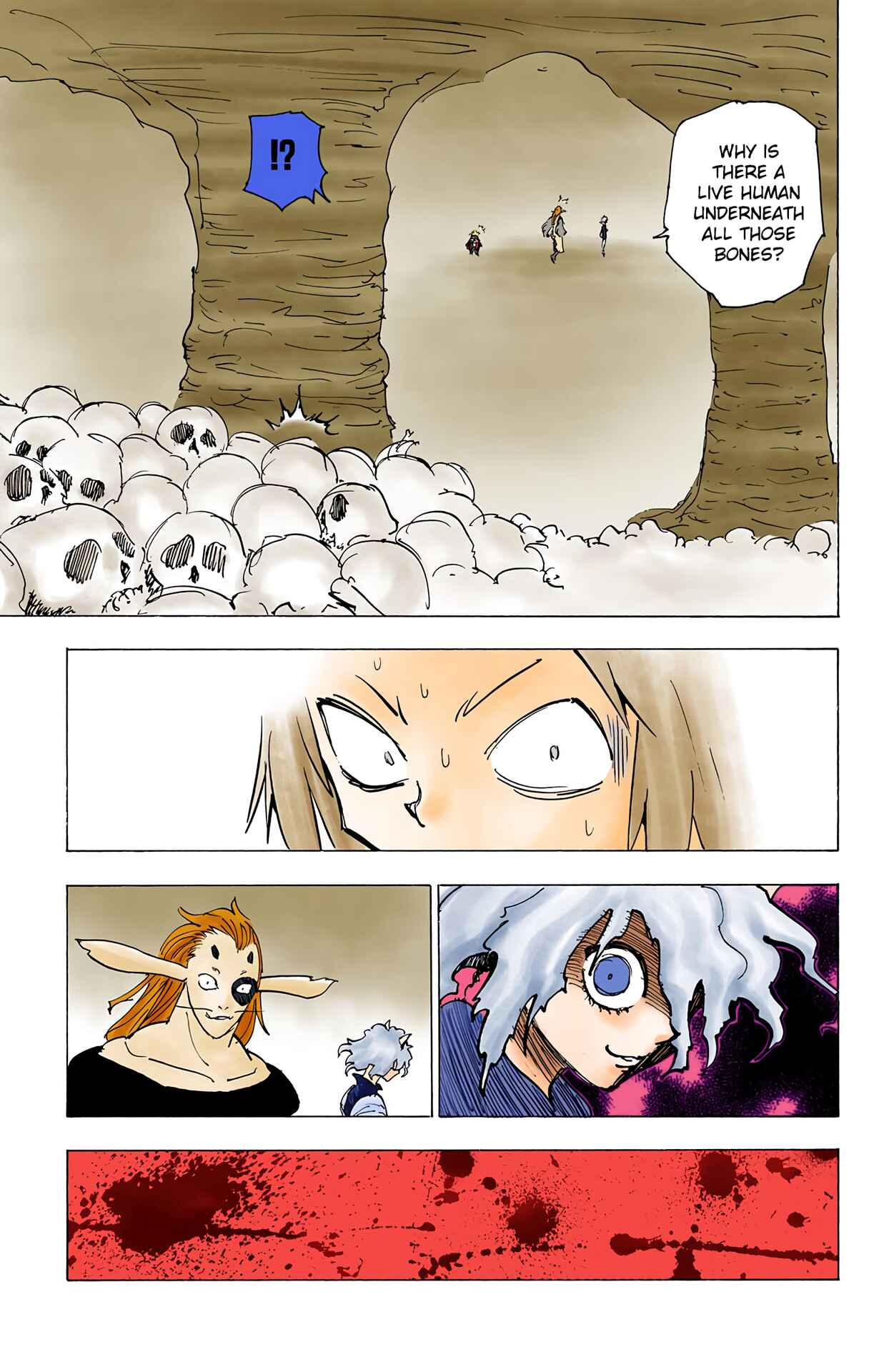 Hunter x Hunter (Official Colored) Chapter 197 - Page 11