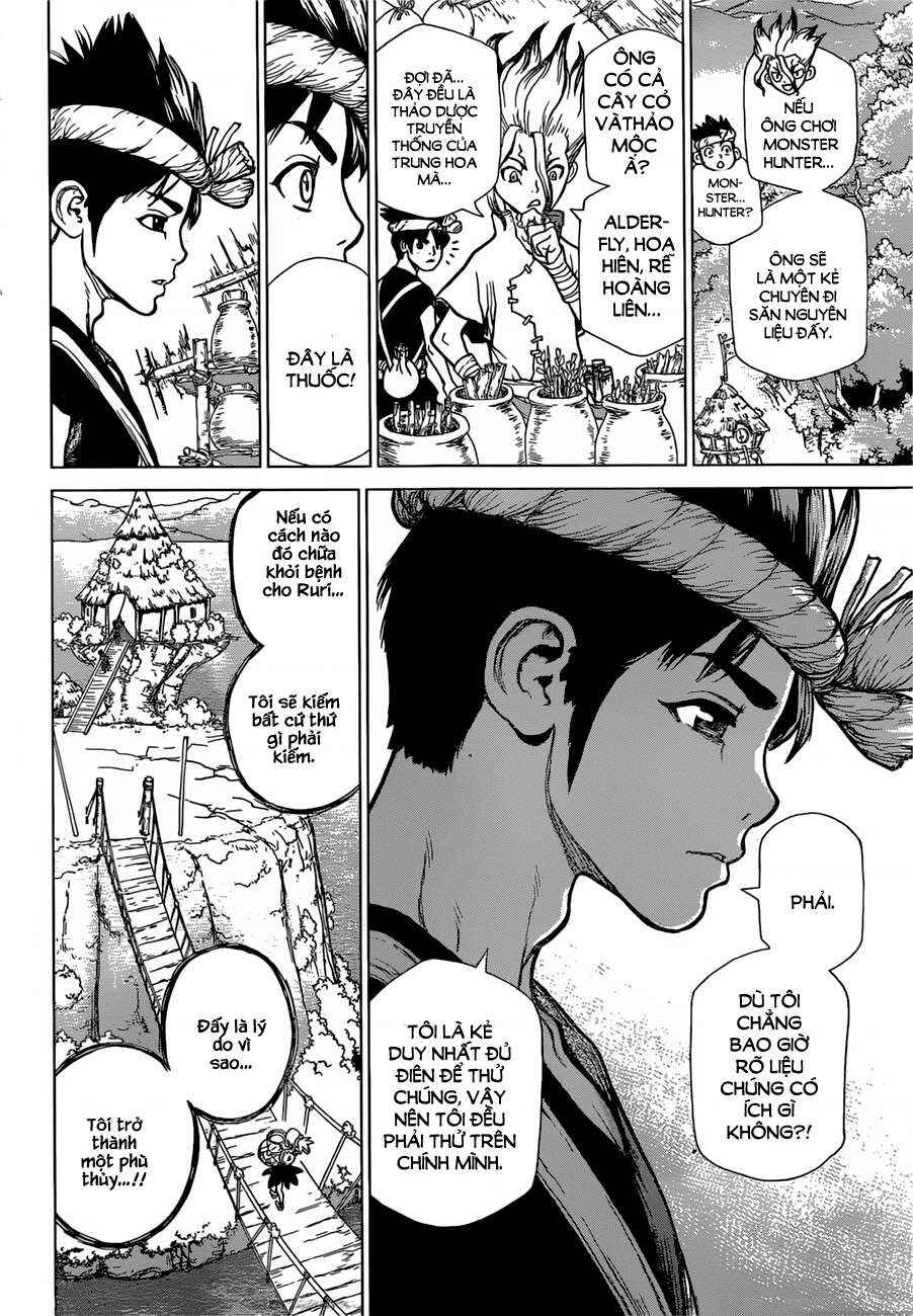 Dr.STONE Chapter 19 - Page 8