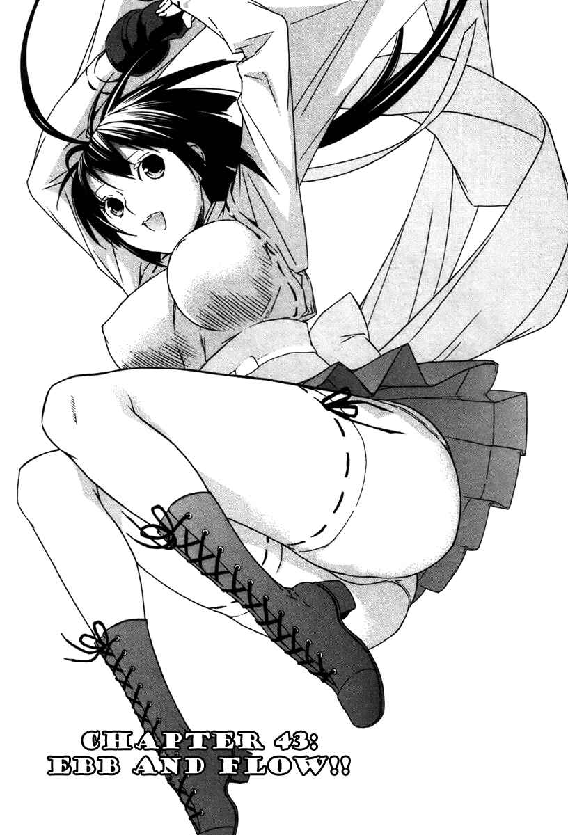 Sekirei Chapter 43 - Page 1