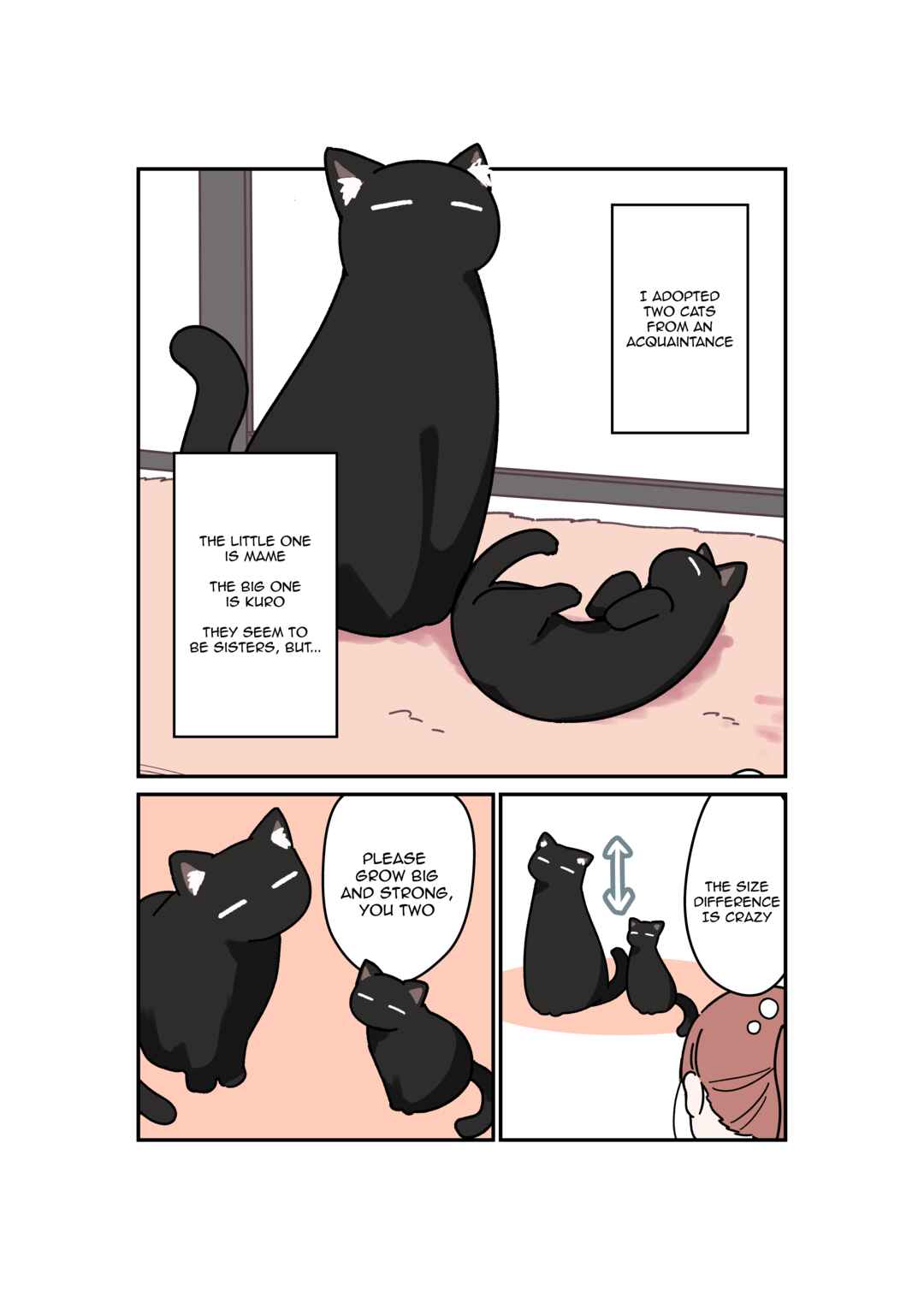Uchi no Kuroneko, Onna no Ko Chapter 1 - Page 1