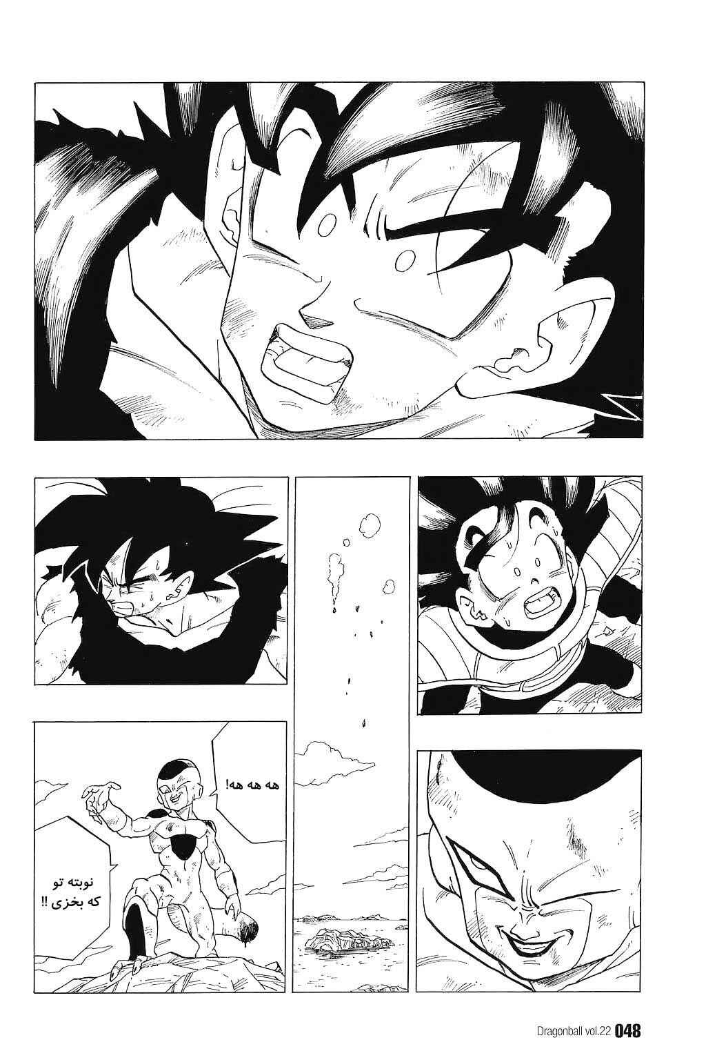 Dragon Ball Chapter 317 - Page 15