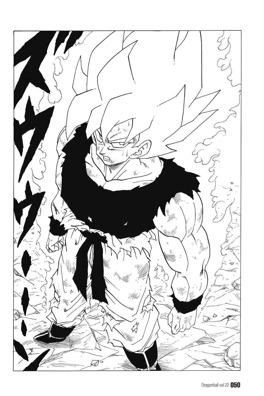 Dragon Ball Chapter 317 - Page 17