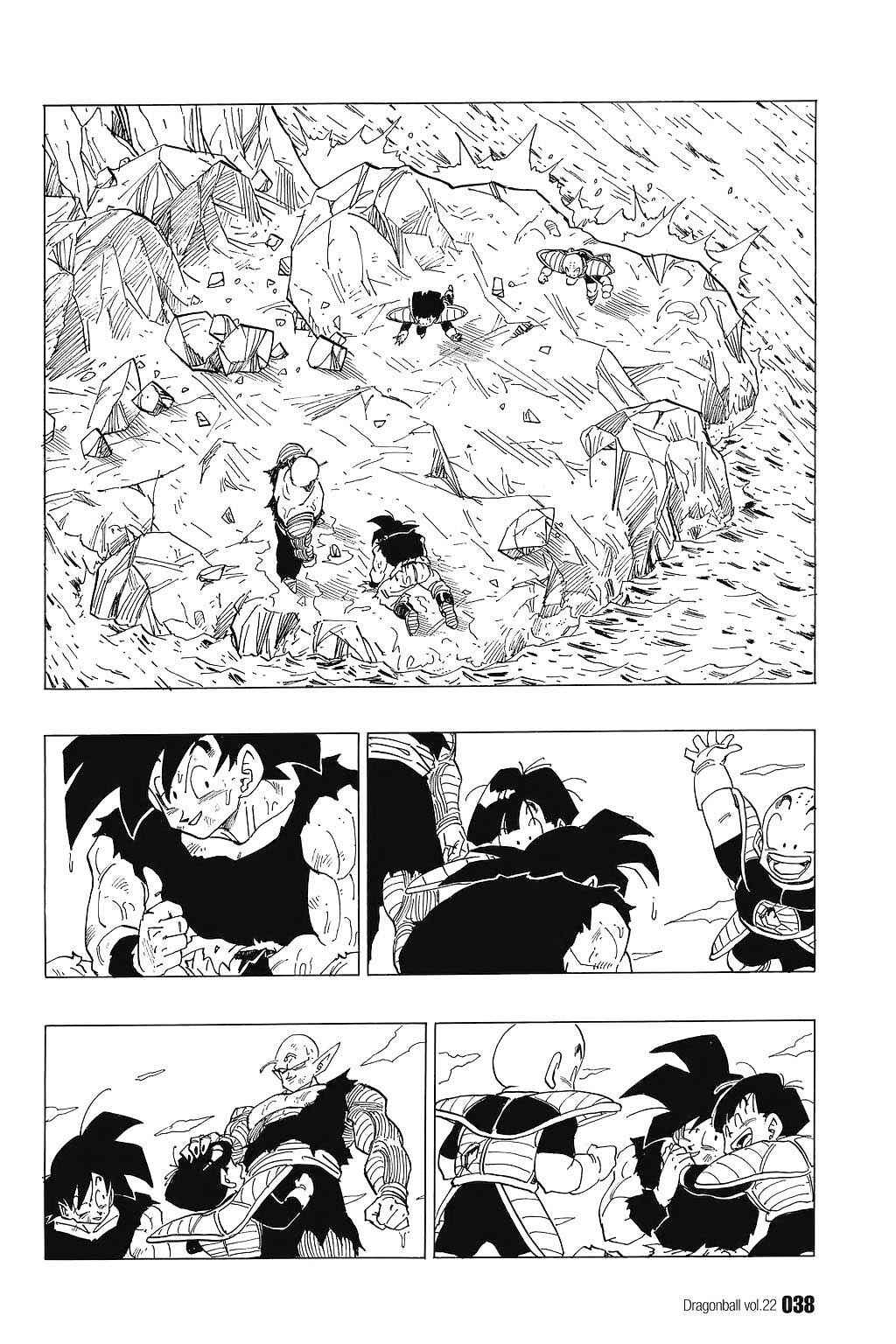 Dragon Ball Chapter 317 - Page 5