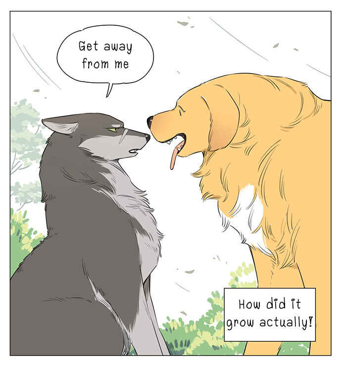 The Wolf That Picked Something Up Chapter 17 - Page 5