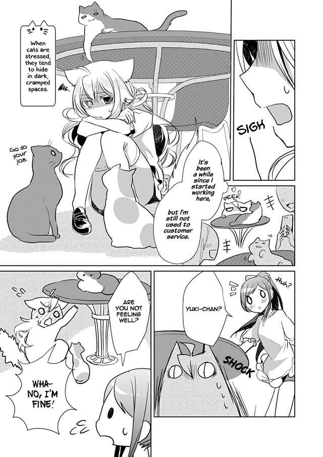 Catulus Syndrome Chapter 19 - Page 3