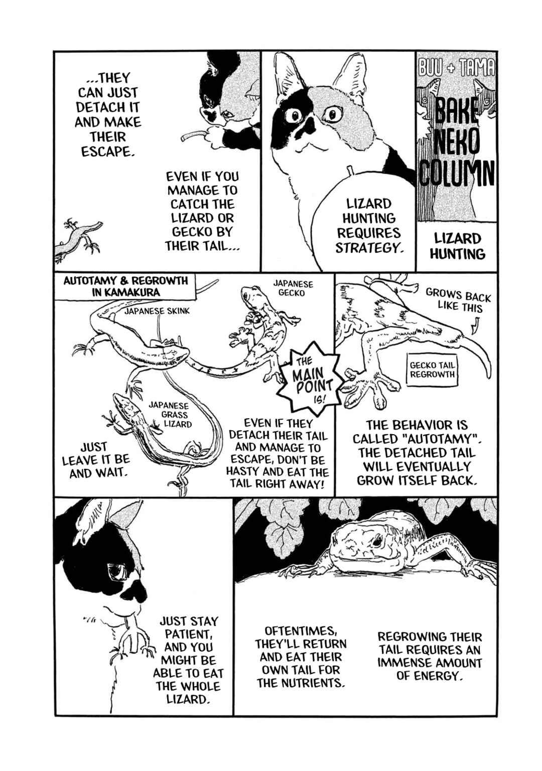 Kamakura Bakeneko Club Chapter 20.5 - Page 1