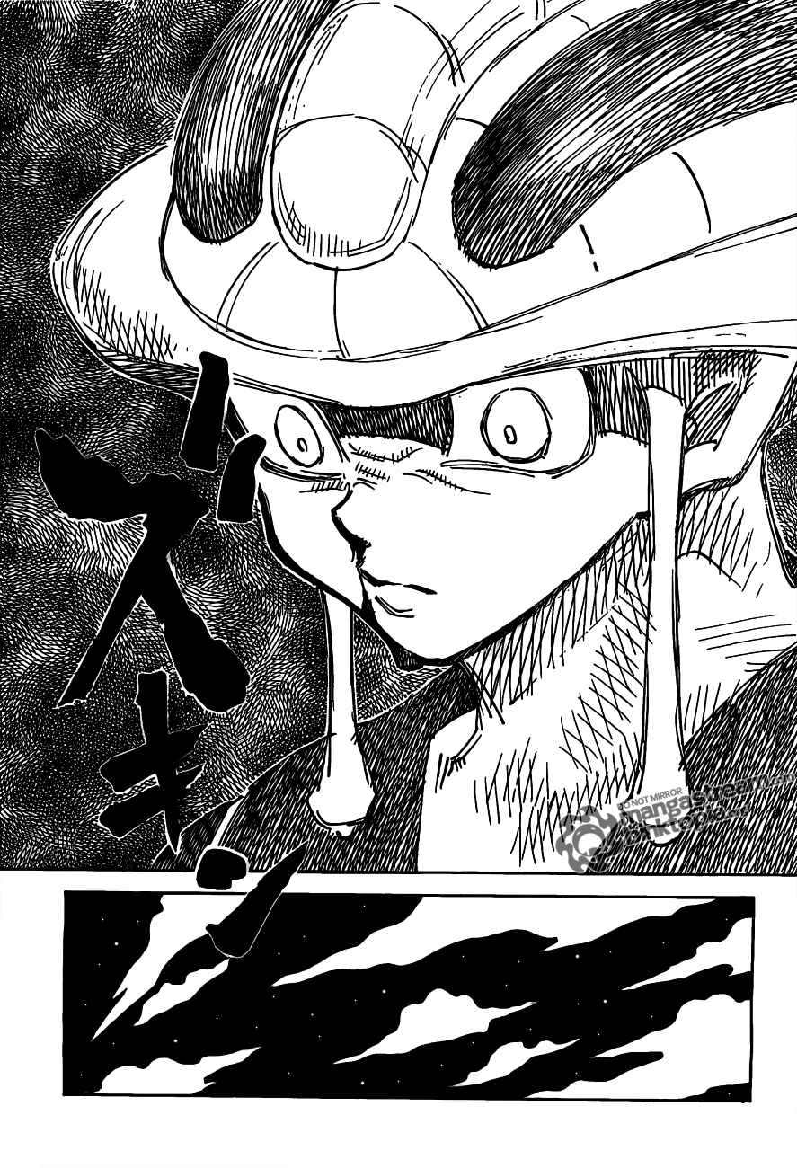 Hunter x Hunter Chapter 310 - Page 14