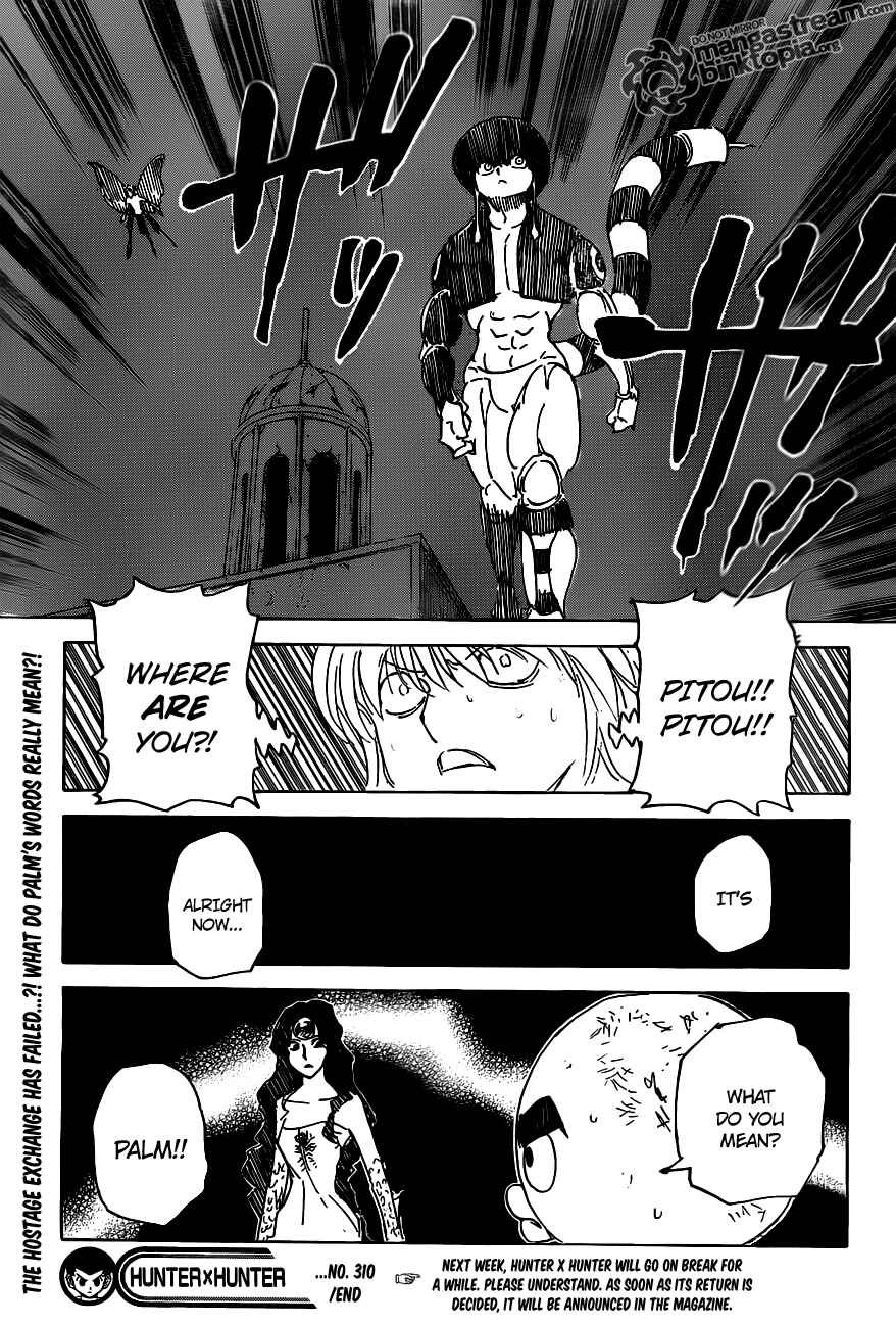 Hunter x Hunter Chapter 310 - Page 20