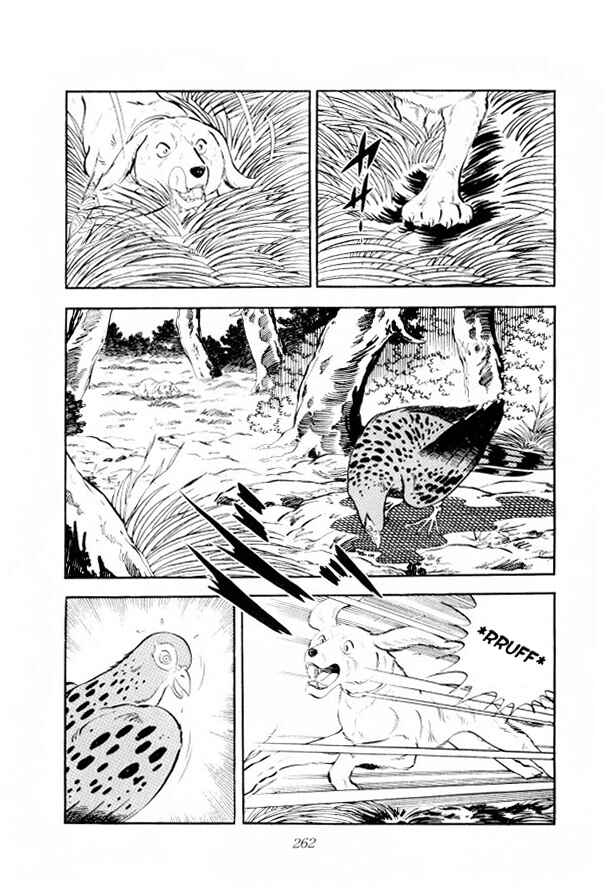 Silver Fang – The Shooting Star Gin – Chapter 12 - Page 21