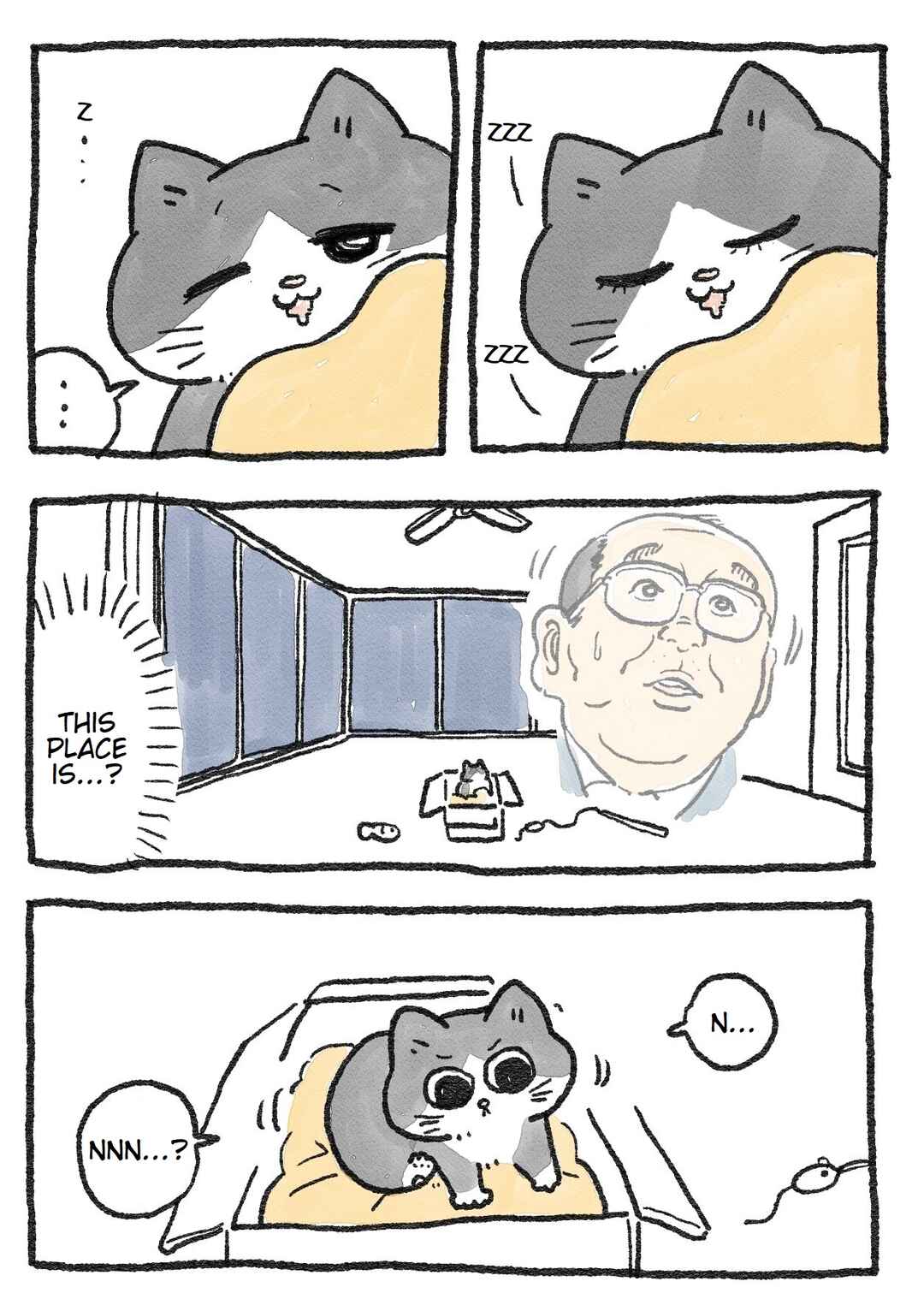 Neko Oji: Salaryman reincarnated as a kitten! Chapter 12 - Page 1