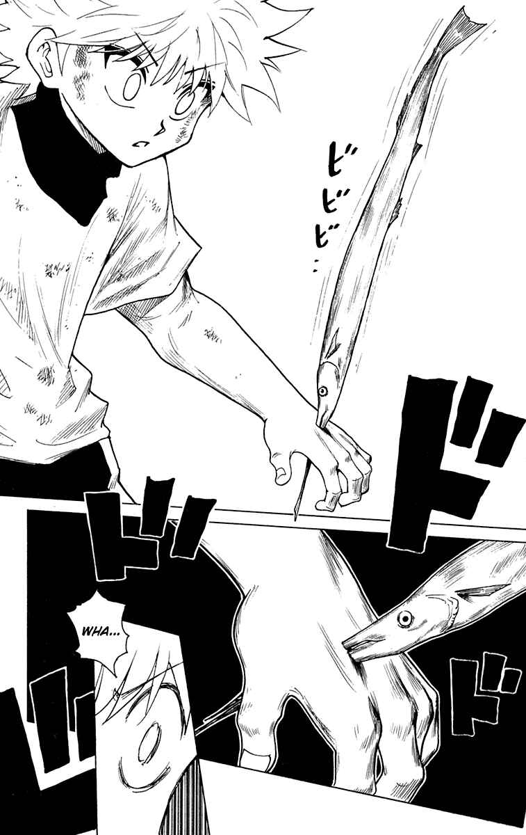 Hunter x Hunter Chapter 239 - Page 2