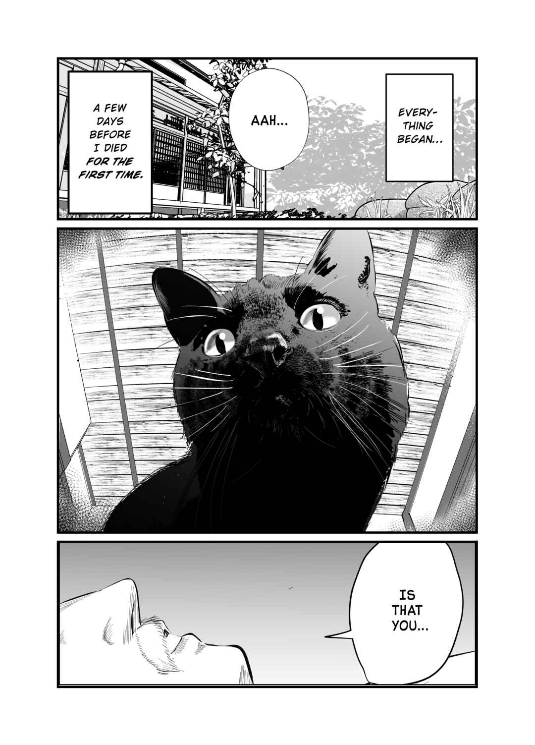 Black Cat Jiumin Chapter 1 - Page 1