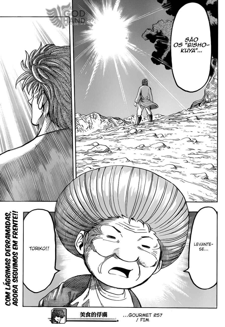 TORIKO Chapter 257 - Page 19