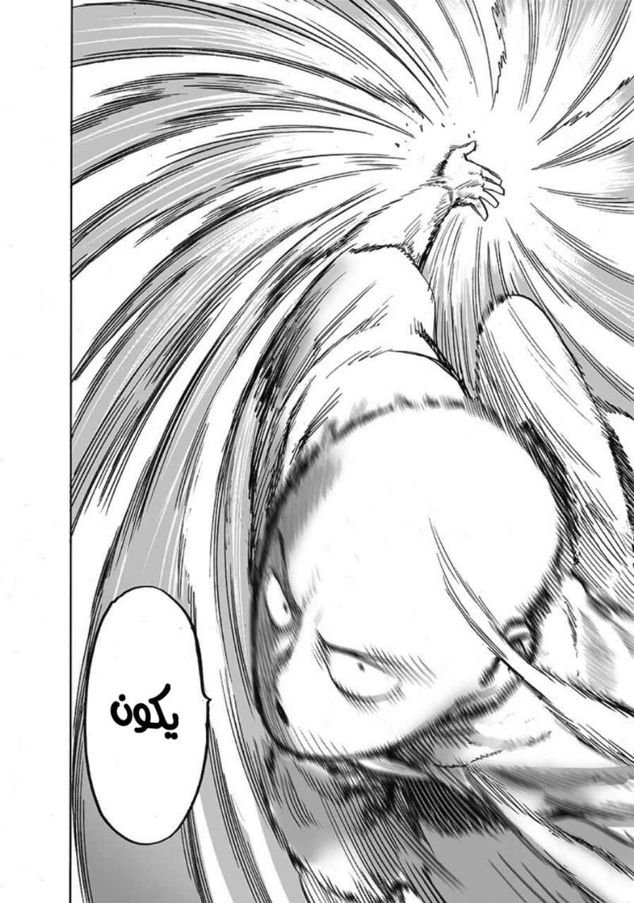 One Punch-Man Chapter 172 - Page 21