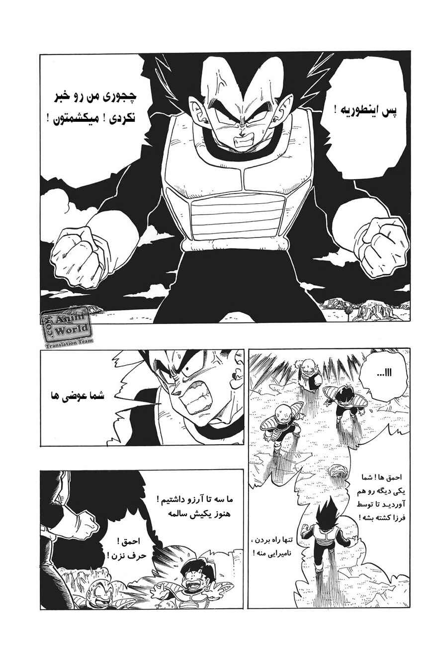 Dragon Ball Chapter 293 - Page 13