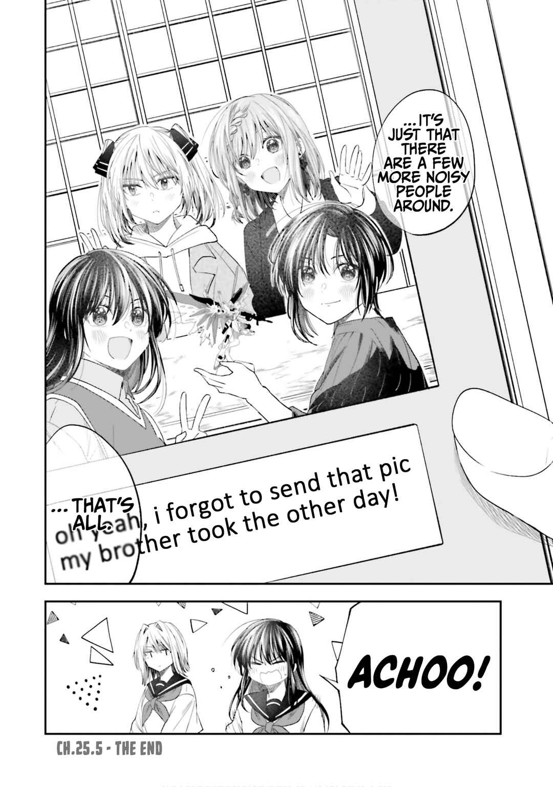 HG ni Koisuru Futari Chapter 25.5 - Page 4