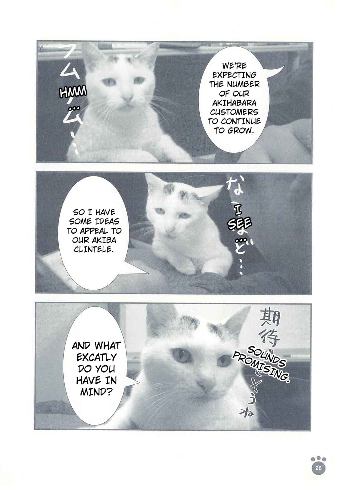 Sukeban Shachou Rena Chapter 5 - Page 3