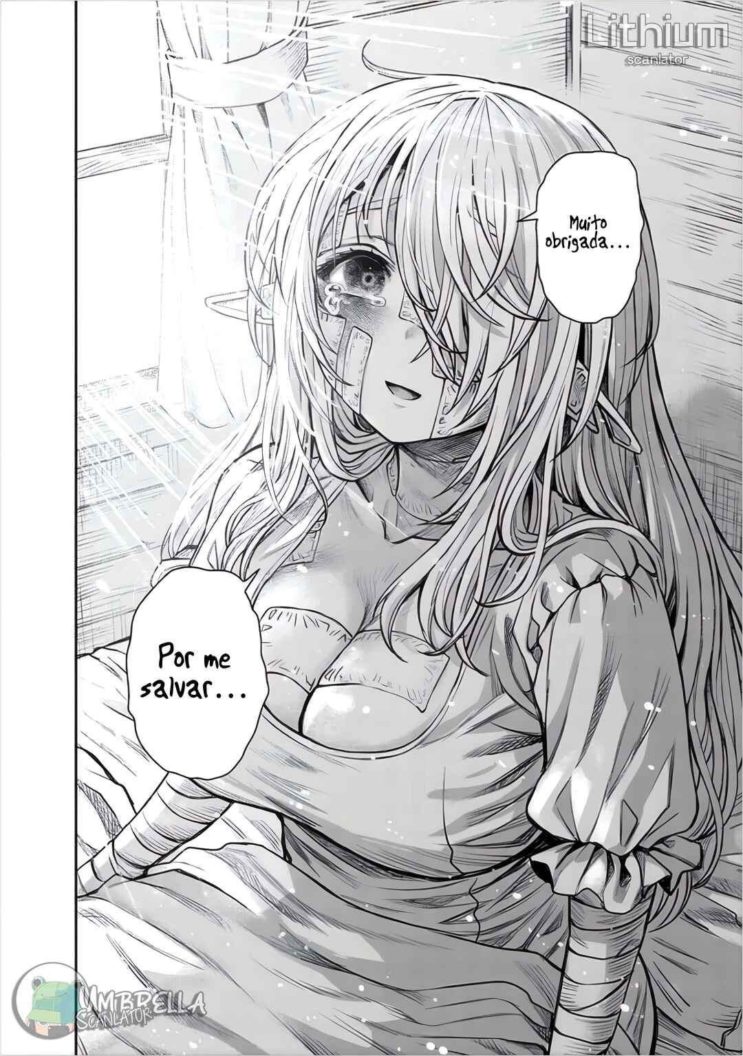 Boroboro no Elf-san wo Shiawase ni Suru Kusuriuri-san Chapter 5 - Page 17