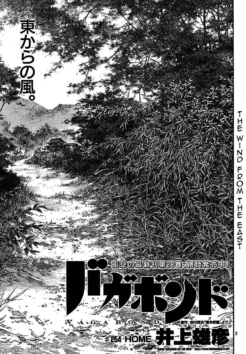 Vagabond Chapter 254 - Page 3