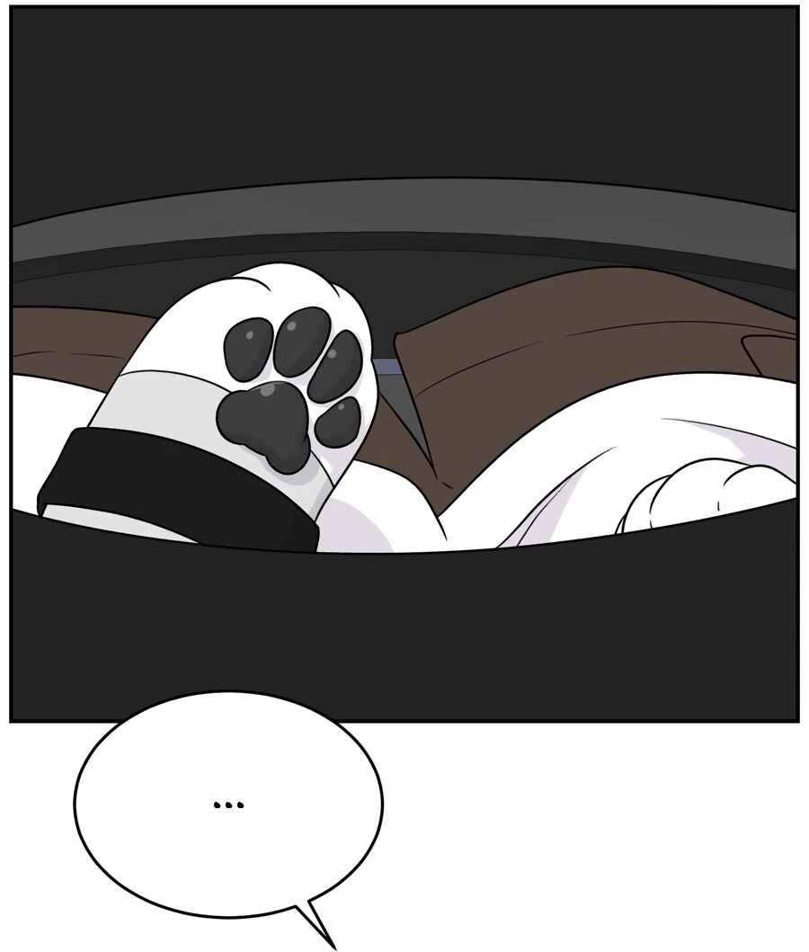Wǒ de shíwù kàn qǐlái hěn kě'ài' Chapter 177 - Page 12