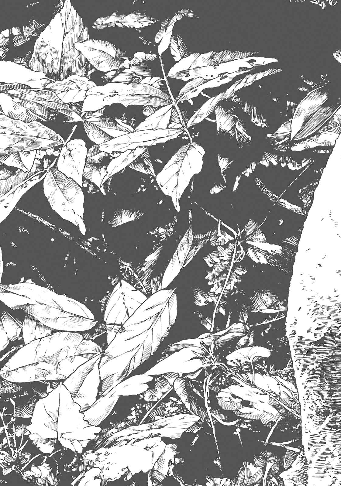 Hakumei to Mikochi Chapter 20.1 - Page 3