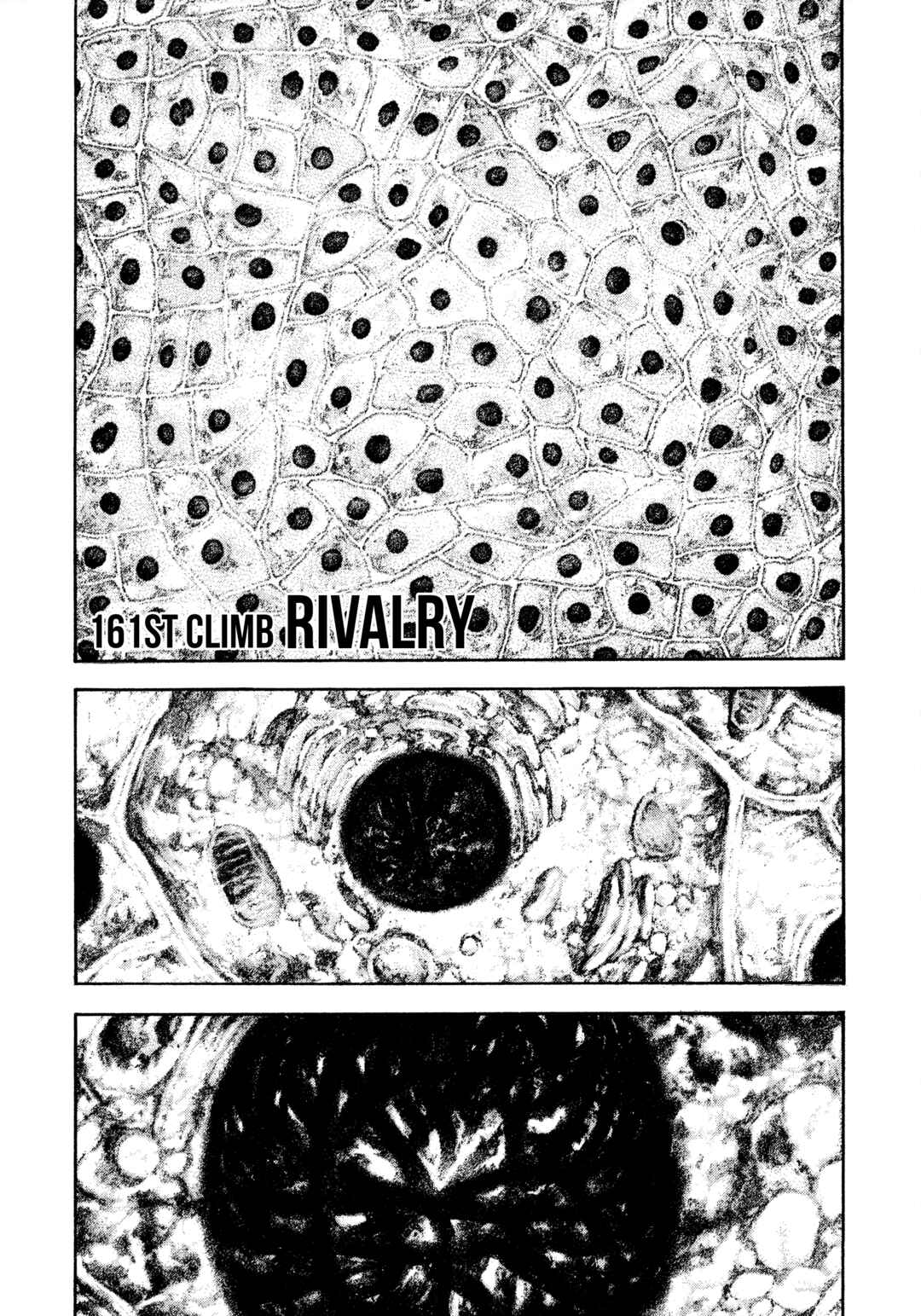 Kokou no Hito Chapter 161 - Page 1